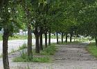 ResteAlexanderstrasse